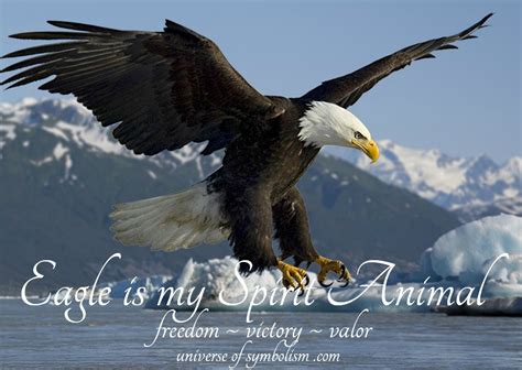 Eagle Symbolism And Eagle Meaning Eagle Spirit Animal Guidance