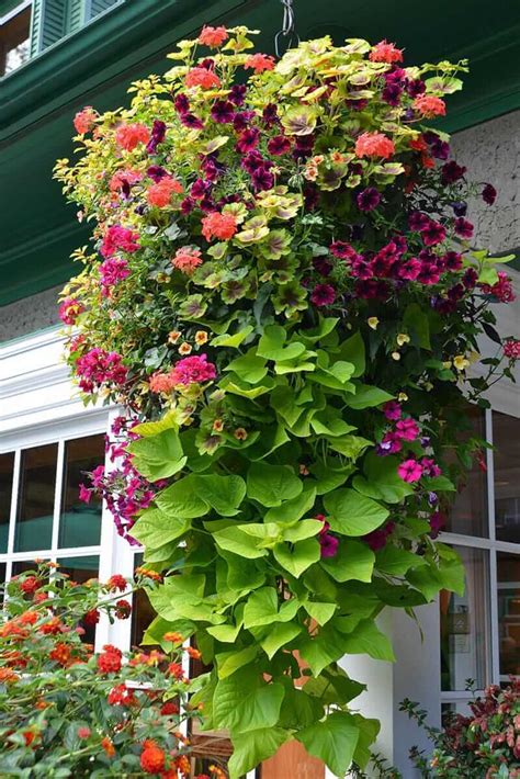 Using flowers in hanging baskets is an excellent way to decorate your home. 25 Creative Hanging Basket Designs