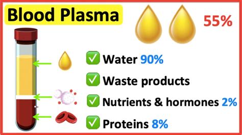 Blood Plasma What Is The Role Of Blood Plasma Youtube