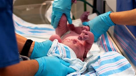 What Degree Does A Neonatal Nurse Need