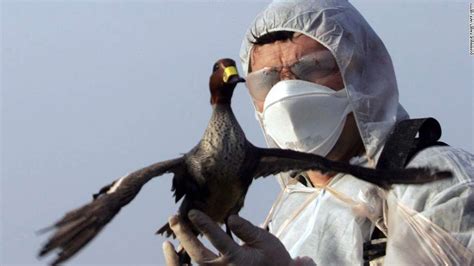 Bird Flu Worries Nationwide 90fm