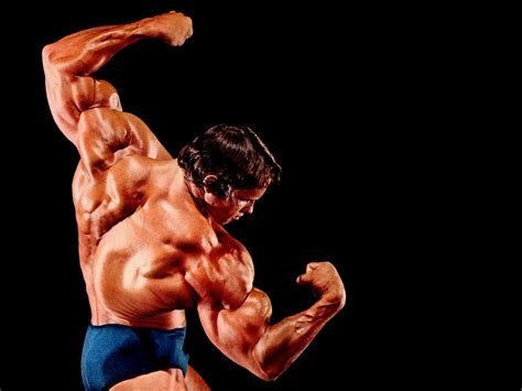 arnold schwarzenegger treino dieta e motivação da musculação legenda flonchi