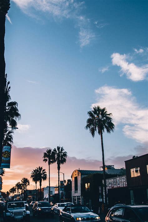 Download Venice Beach Neighborhood Iphone California Wallpaper