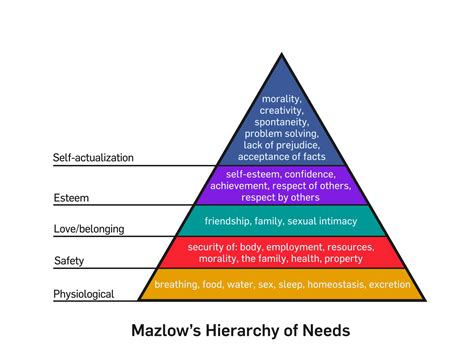 Piramide Di Maslow Come Usarla Nel Marketing Pixartprinting