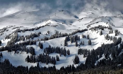 Aerial Photography Of Snowy Mountain Path With Pine Trees During Day