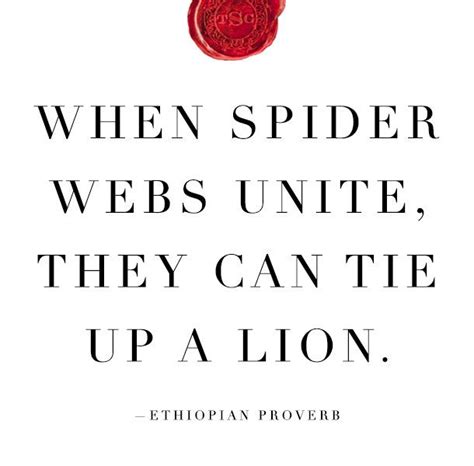 Quotes About Spider Webs Quotesgram