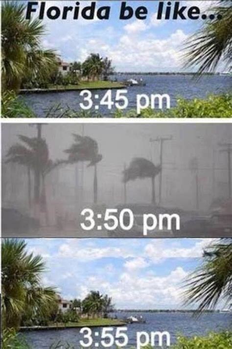 downright funny memes youll    youre  florida