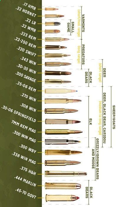Bullets Different Types Guns Ammunition