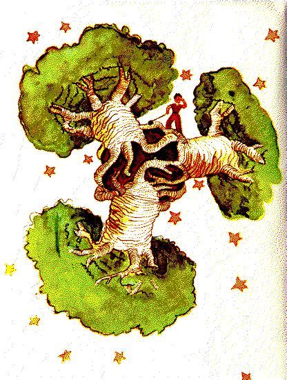 Naturaleza Asombrosa Los Increibles Baobabs La Aldea Irreductible