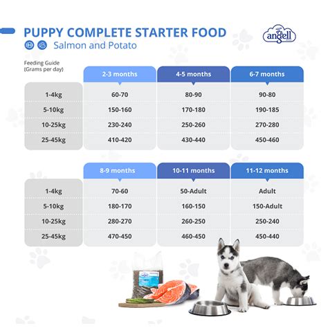 Puppy Feeding Chart By Age