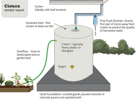Cisterns For Rainwater Catchment — Snohomish Conservation District