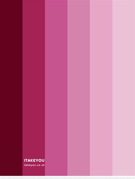 Shades Of Pink Colour Combination Colour Palette 58 Pink Color