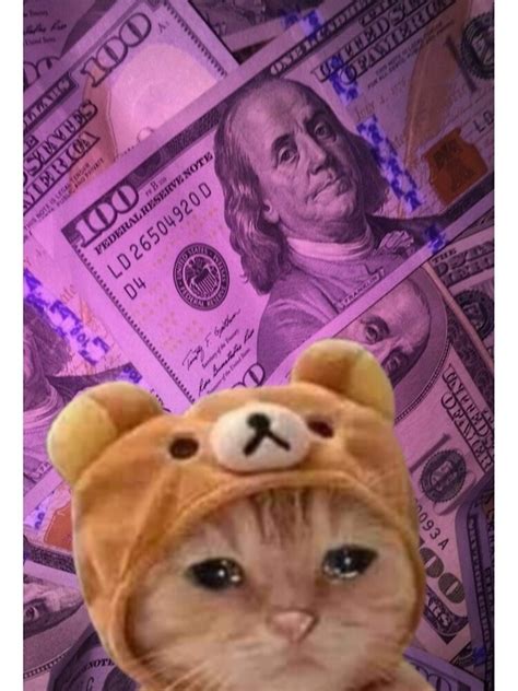 See more ideas about aesthetic, sad, overcoming. "Sad aesthetic cat" iPhone Case & Cover by Wildtookie ...