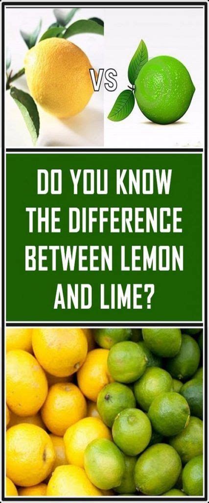 Do You Know The Difference Between Lemon And Lime Lime Lemon Health