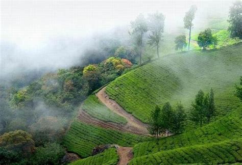 Magical Monsoons The Best Time To Visit Kerala