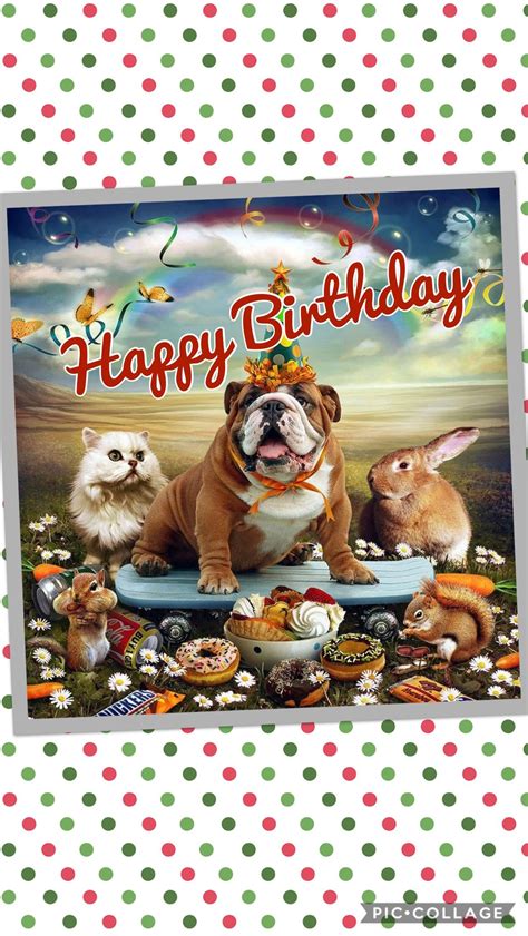 Pin By Nissos On Birthday Happy Birthday Animals Happy Birthday Dog