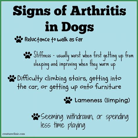 Natural Remedies For Arthritis In Dogs Signs Of Arthritis Knee