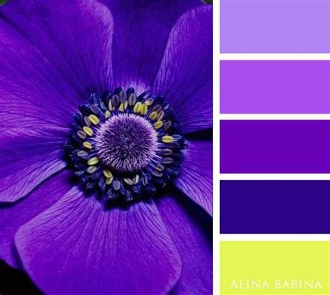 Все оттенки фиолетового: 30 идеальных сочетаний / Декор / Архимир | Фиолетовые цветовые схемы ...