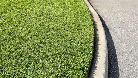St Augustine Grass Turning Yellow 11 Causes And How To Revive