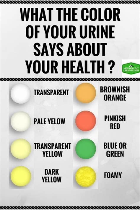 What The Color Of Your Urine Says About Your Health Infographic My