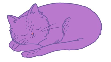 Cat Sleeping Sticker By Vera Savelkouls For Ios And Android Giphy