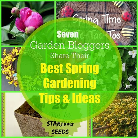 Save Time And With The Ultimate 2015 Spring Gardening Tips And