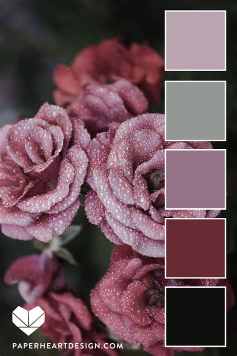 √ Dusty Pink Color Palette