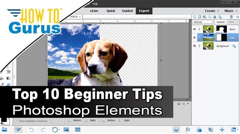 Photoshop Elements Beginner Top Ten Things To Know Photoshop Elements