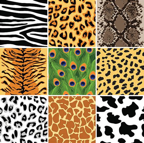 Animal Pattern Clip Art Vector Images And Illustrations Istock