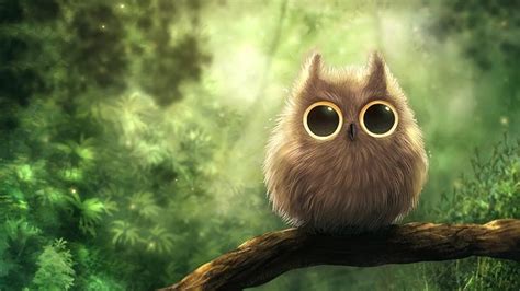 Cute Owl Desktop Wallpapers Top Free Cute Owl Desktop Backgrounds