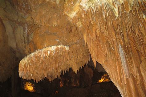 Top 25 Cavescave Tours In The United States