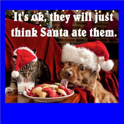 Funny Christmas Memes Clean Funny Christmas Pictures Christmas