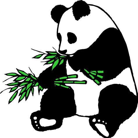Download High Quality Panda Clipart Bamboo Transparent Png Images Art
