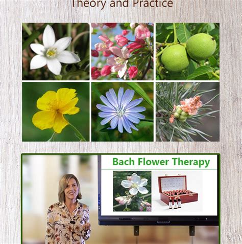Bach Flower Therapy Online Course 605x789 American School Of Natural