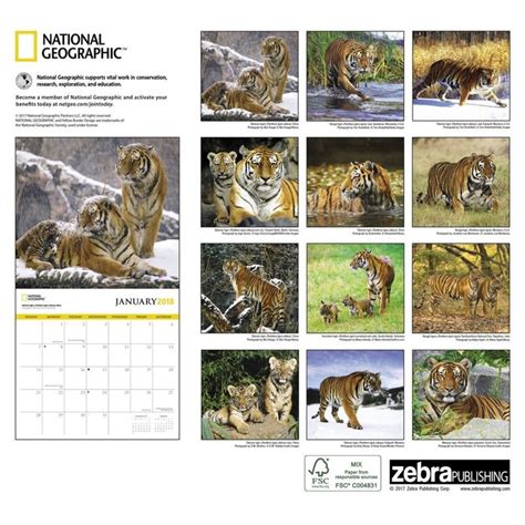 Tigers Ng Wall Calendar Big Cats By Calendars Tanga