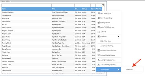 How To Use Saved Search Feature On Grids In Smartclient