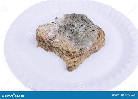 Mouldy Bread Stock Photo Image Of Biology Cereal Healthy 58331522