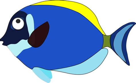 Please update cartoon8.tv your bookmarks and. Gambar Ikan Animasi Png - Gambar Ikan HD