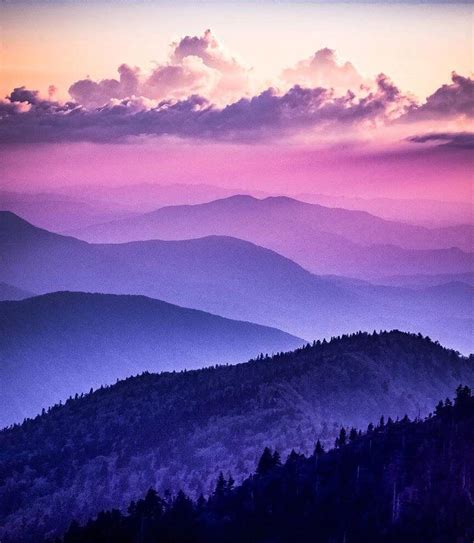 Purple Mountains Majesties Greatsmokies Gsmnp