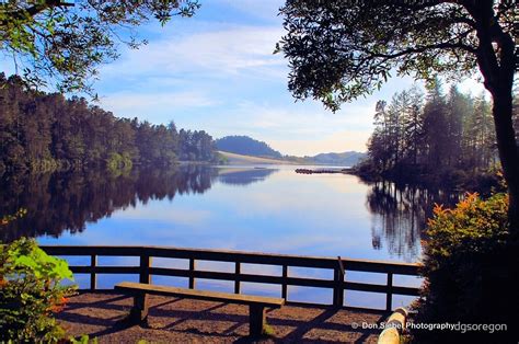 Cleawox Lake Florence Oregon By Donald Siebel Redbubble