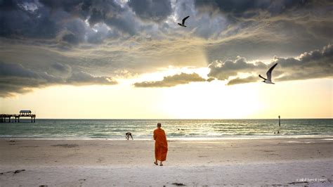 Meditation Guide By Yuttadhammo Bhikkhu Witness This