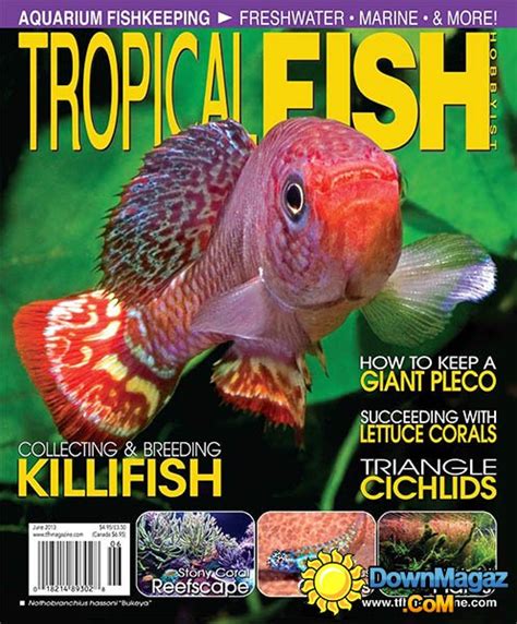 Tropical Fish Hobbyist - June 2013 » Download PDF magazines - Magazines ...