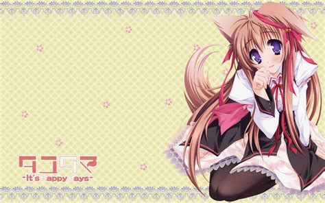 46 Neko Girl Wallpaper On Wallpapersafari