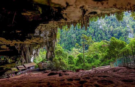 Niah National Park Niah Cave Sarawak Borneotalk