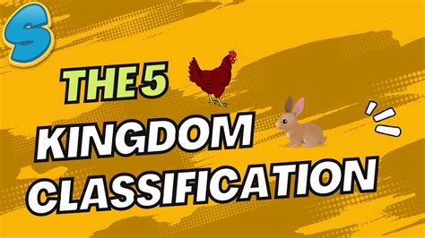 The 5 Kingdom Classification Grade 9 Biology Unit 5 Part 2 Youtube