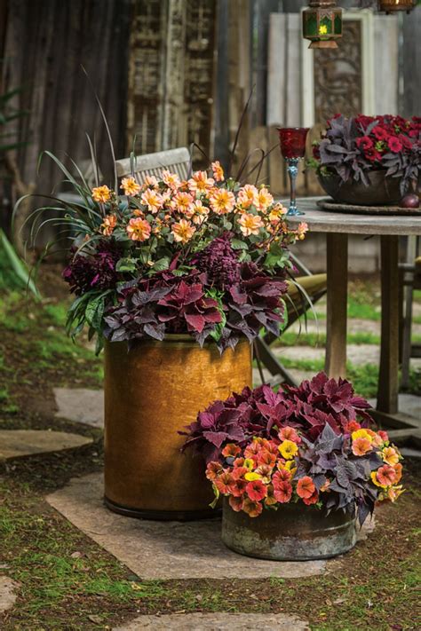 Beautiful Fall Container Gardening Ideas For Chic Home 015