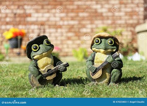 Two Frogs Play Guitar Stock Image Image Of Frogs Spring 47023403