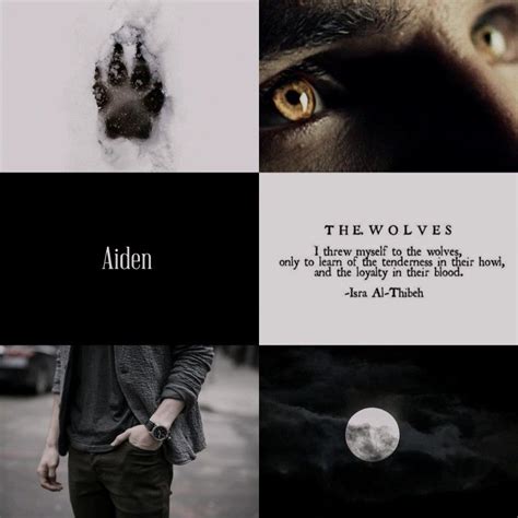 The Originals Aiden Aesthetic Starting From The Bottom Original