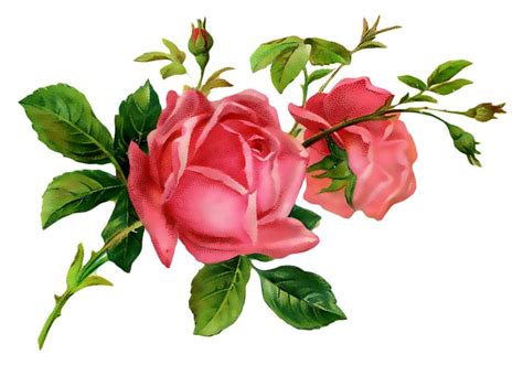 Pin Em Printies Mini Roses And Romance