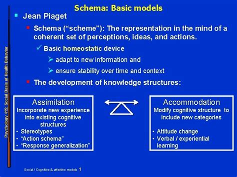Jean Piaget Schema Basic Models Schema Scheme The